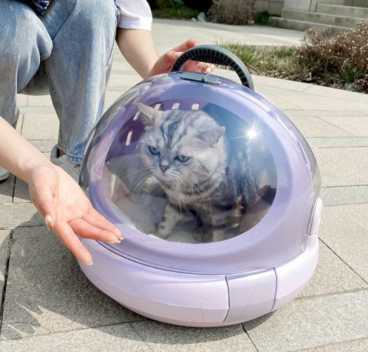 Cat Bag Portable Transparent Space Capsule Shoulder Bag