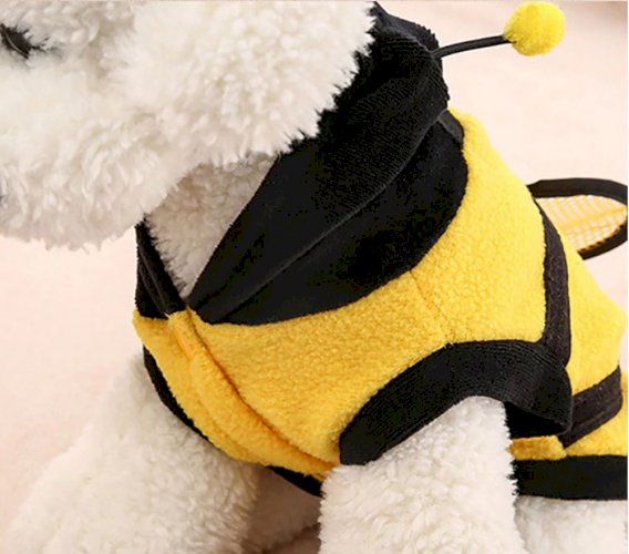 Super Cute Bee Style Clothes for Small Dog with Hoodie